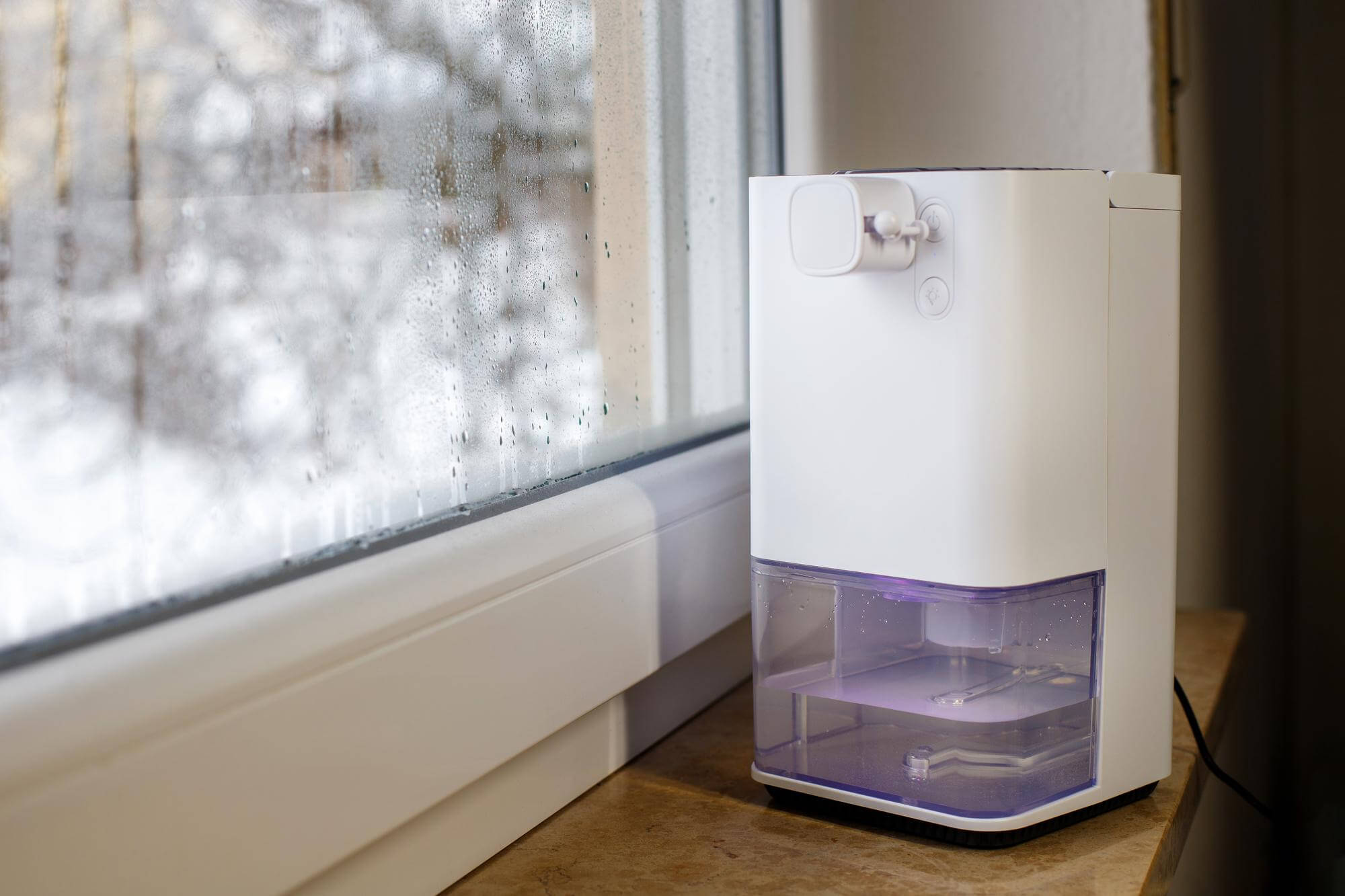 Dehumidifier services in Paso Robles